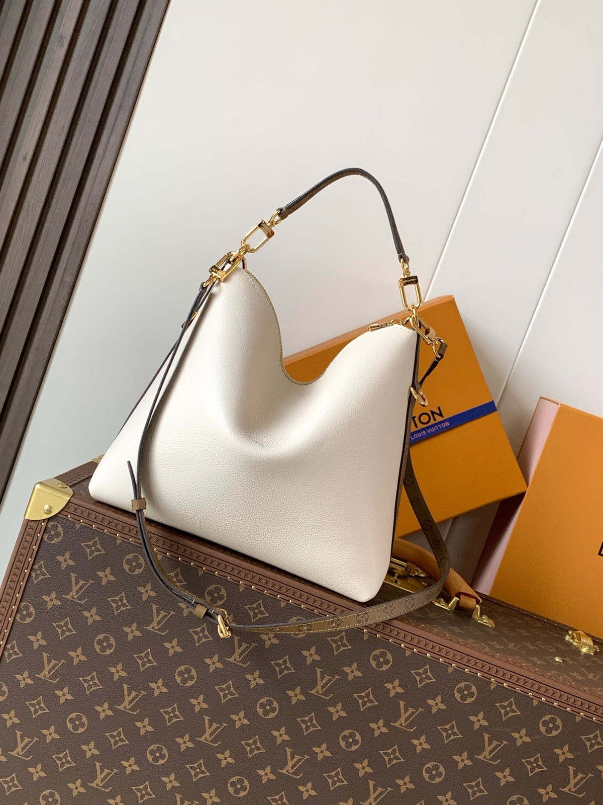 LV WOMENS BAG