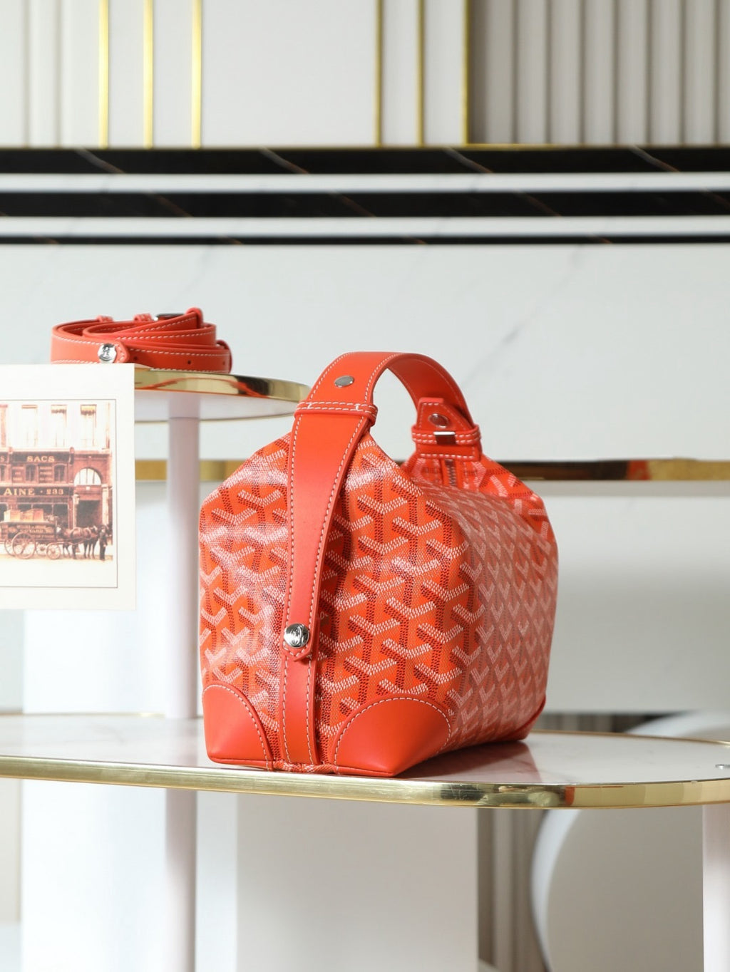 GOYARD WOMENS BAG