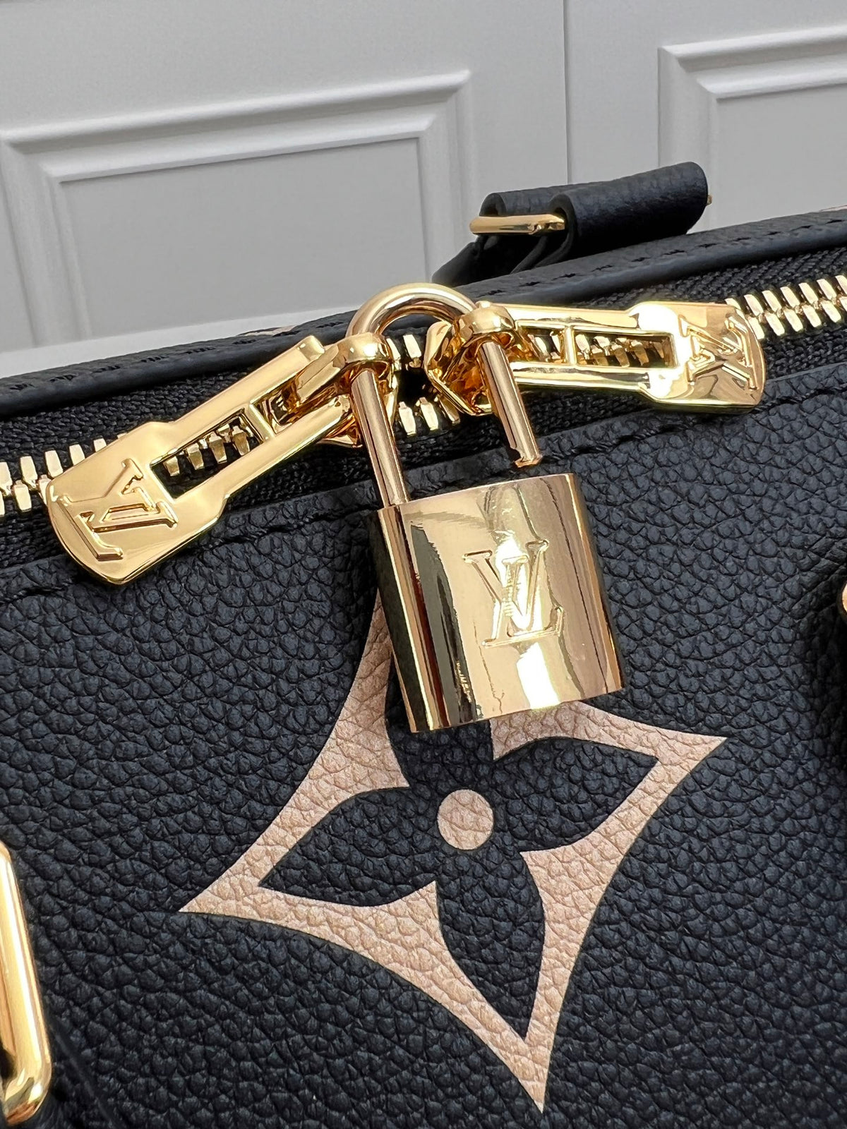 LV WOMENS BAG