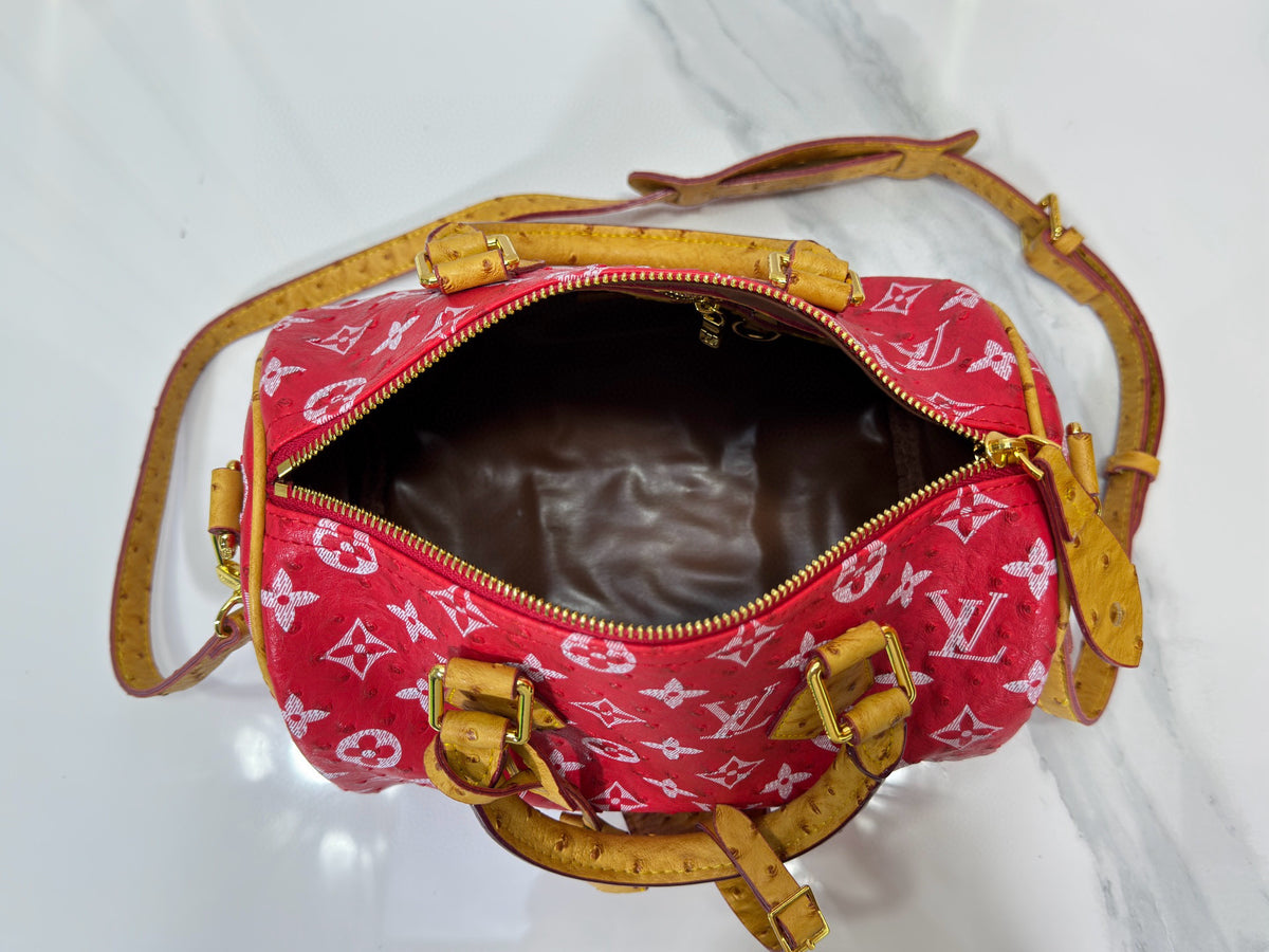 LV WOMENS BAG