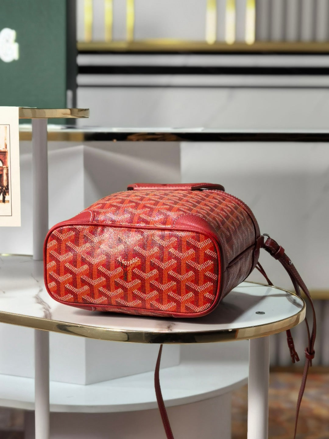 GOYARD WOMENS BAG