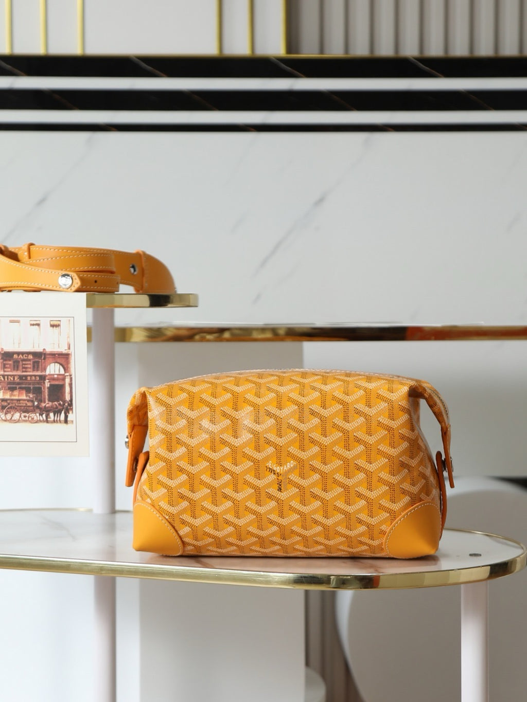 GOYARD WOMENS BAG