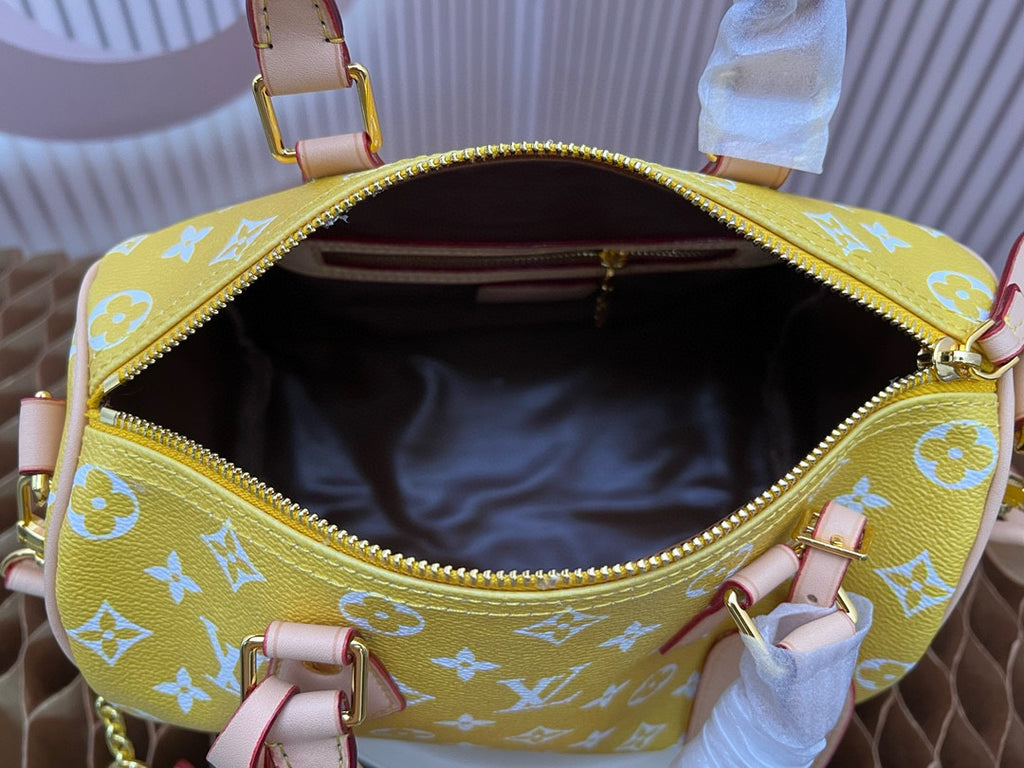 LV WOMENS BAG