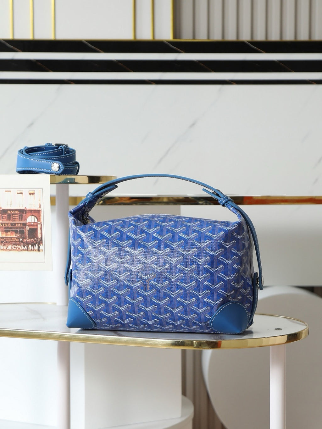 GOYARD WOMENS BAG