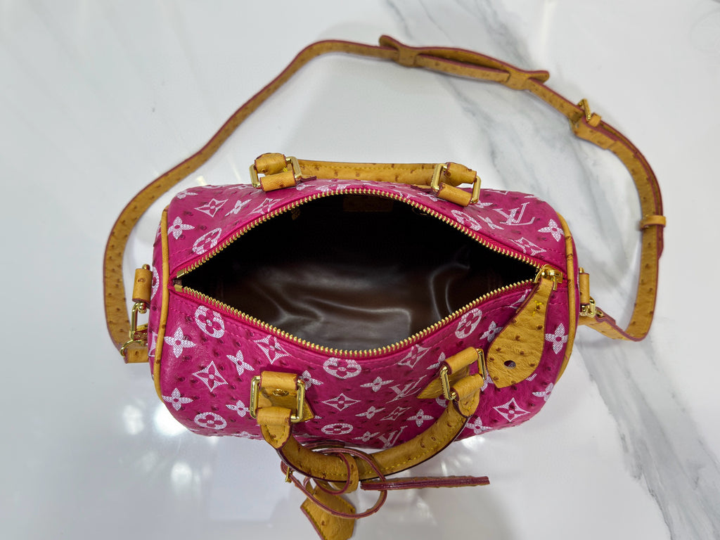 LV WOMENS BAG