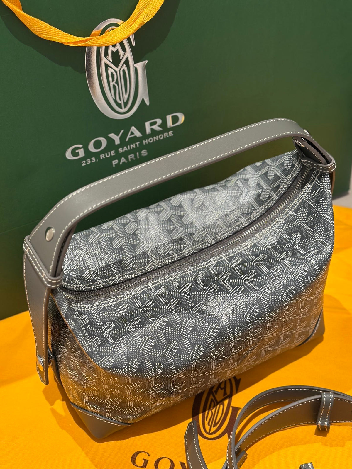 GOYARD WOMENS BAG