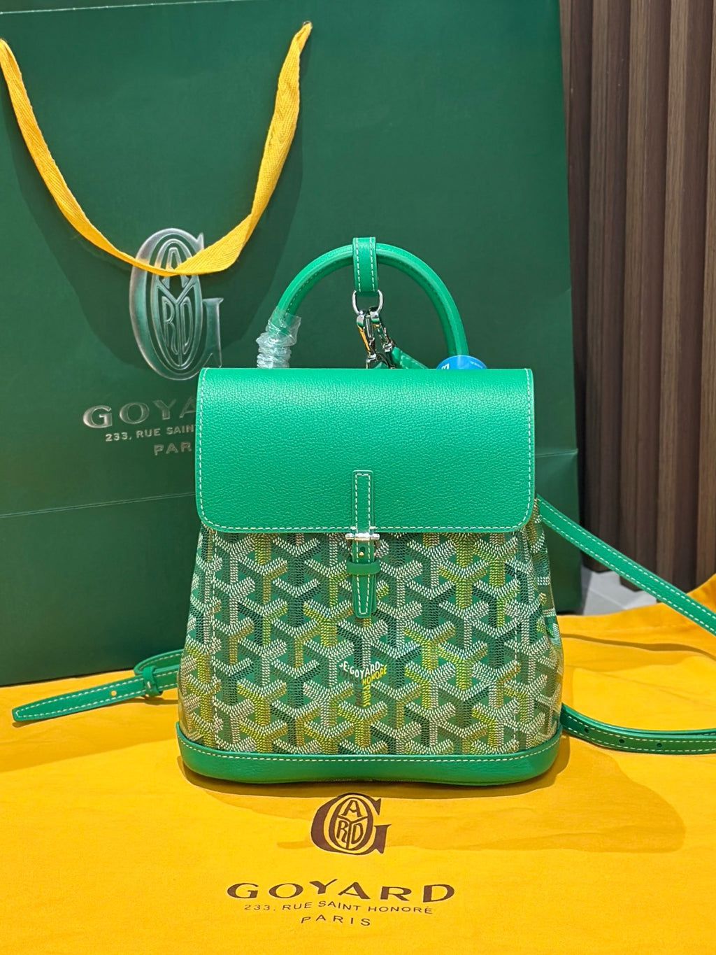 GOYARD WOMENS BAG