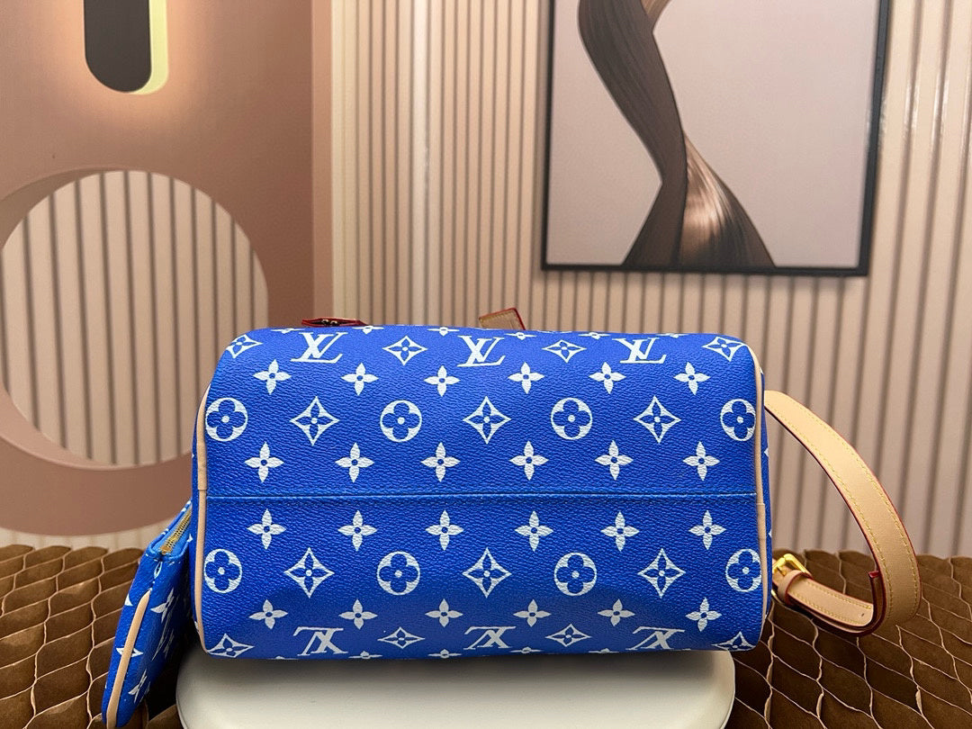 LV WOMENS BAG