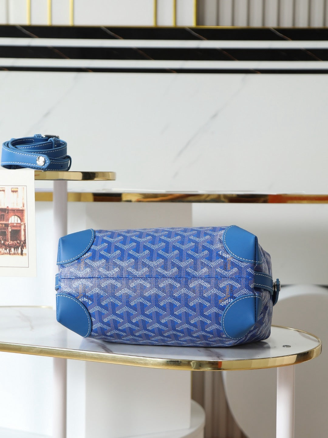 GOYARD WOMENS BAG