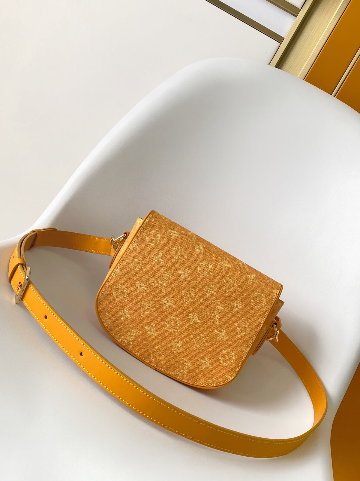 LV WOMENS BAG