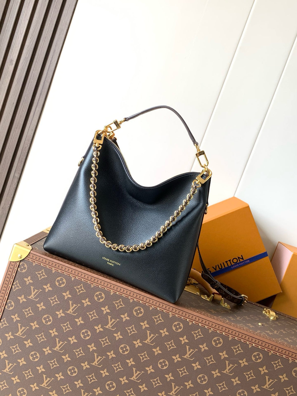 LV WOMENS BAG