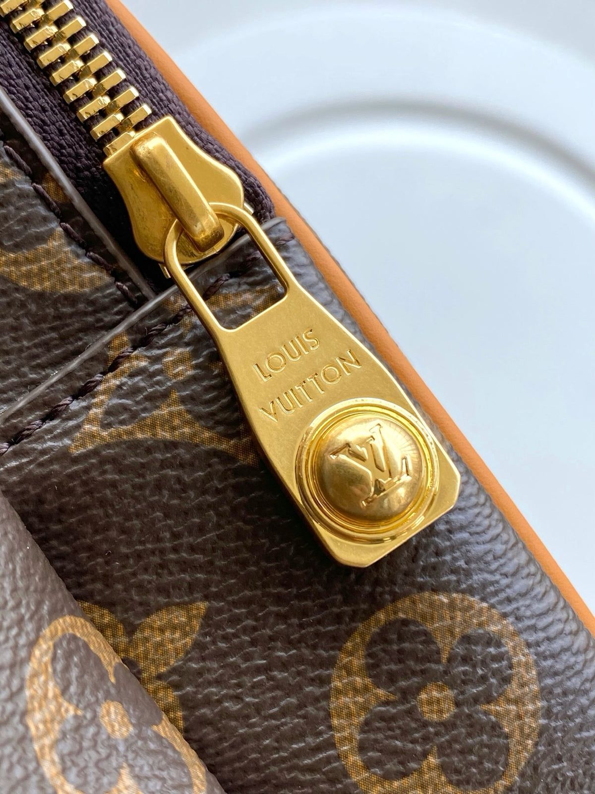 LV WOMENS BAG