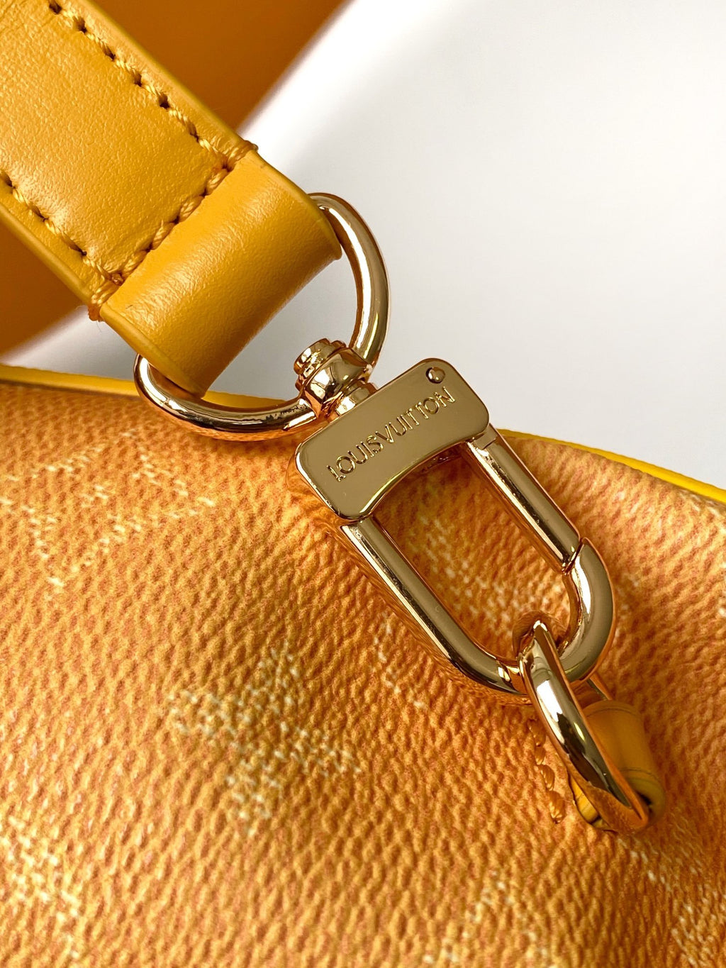 LV WOMENS BAG