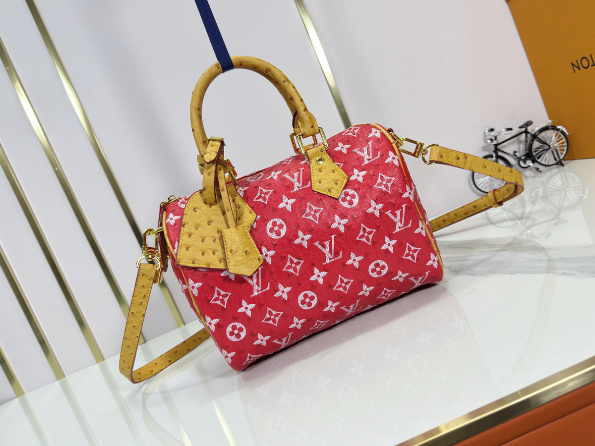 LV WOMENS BAG