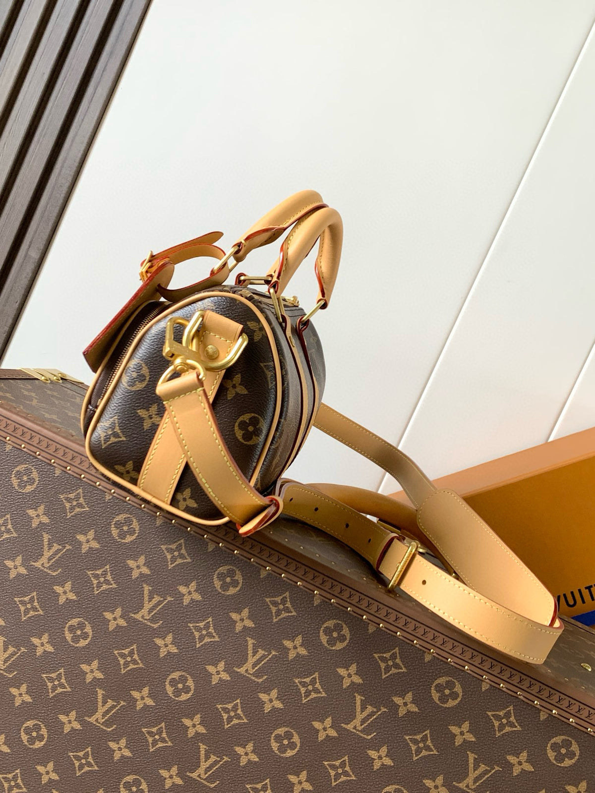 LV WOMENS BAG