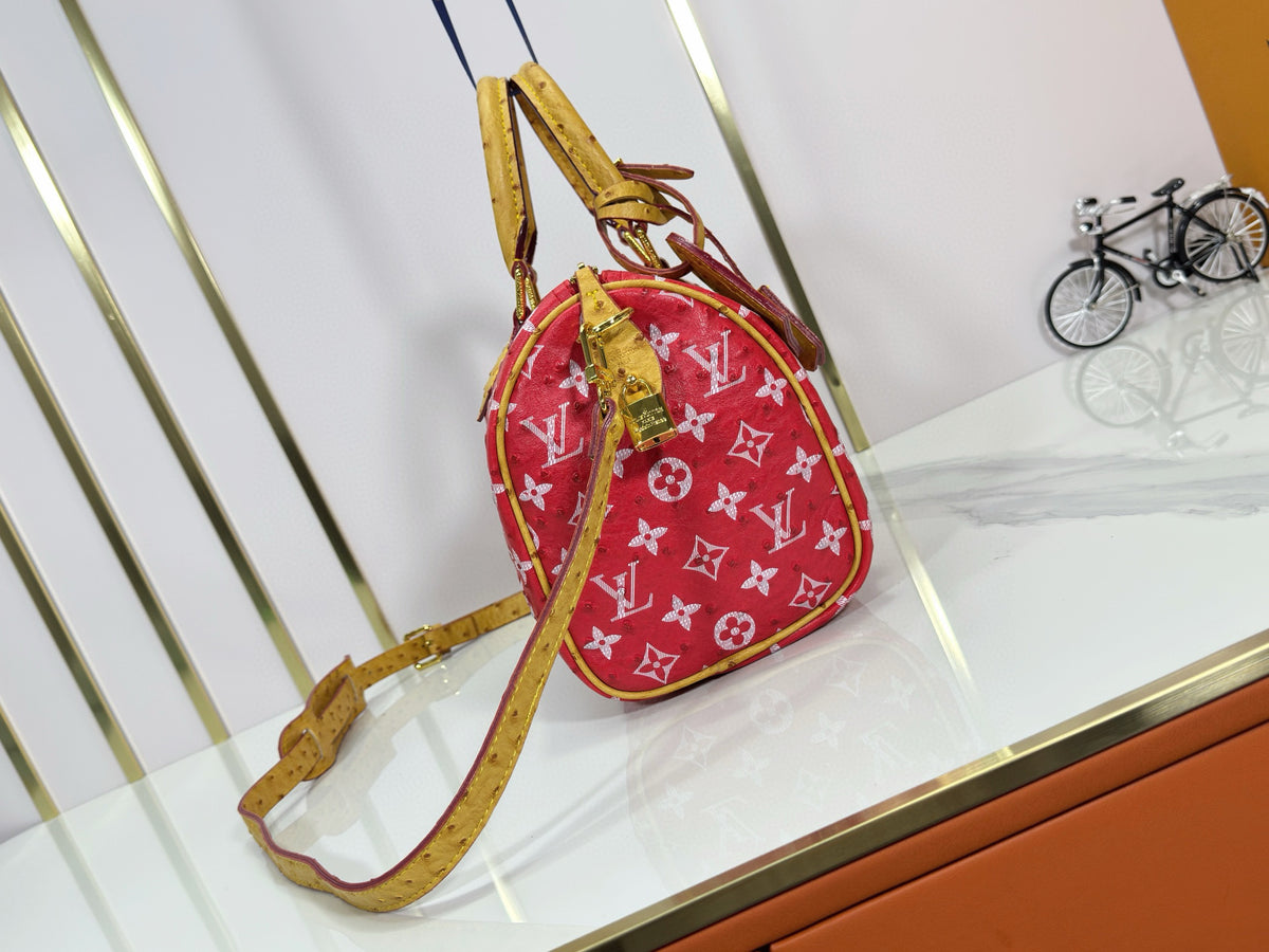 LV WOMENS BAG