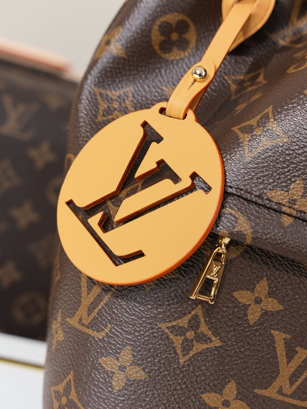 LV WOMENS BAG