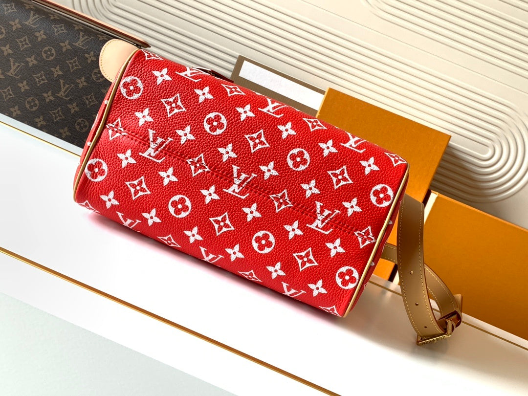 LV WOMENS BAG