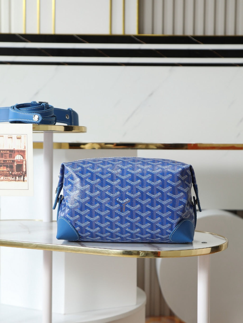 GOYARD WOMENS BAG