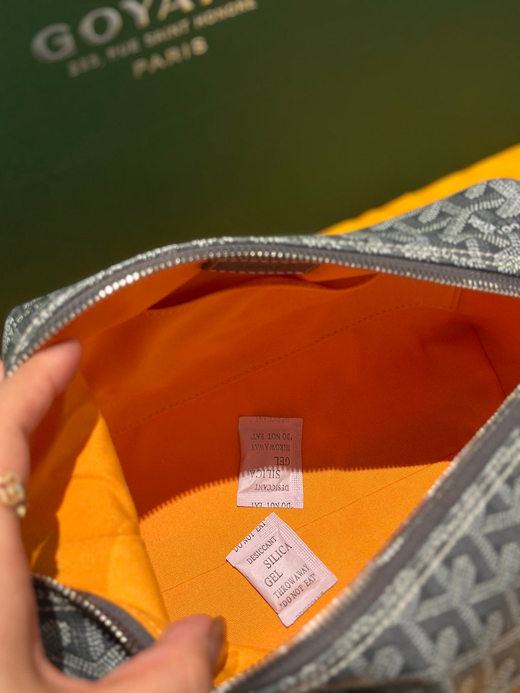 GOYARD WOMENS BAG