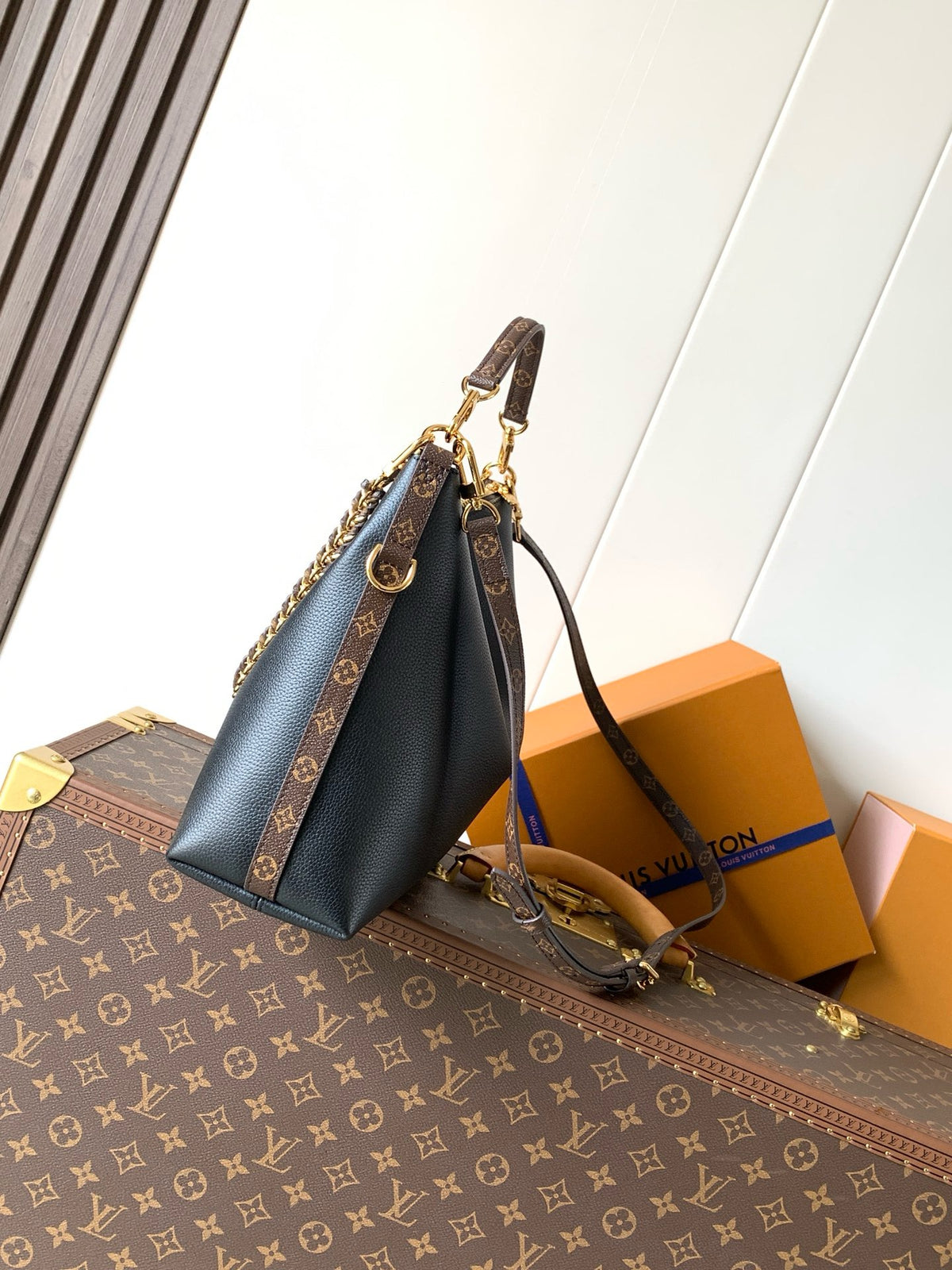 LV WOMENS BAG