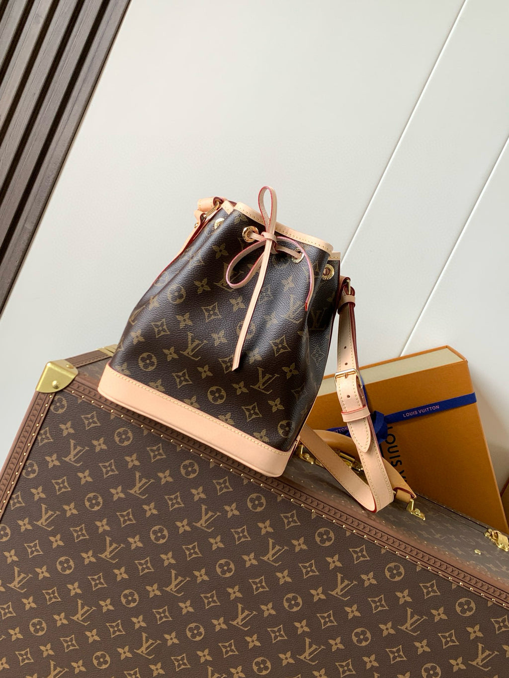 LV WOMENS BAG