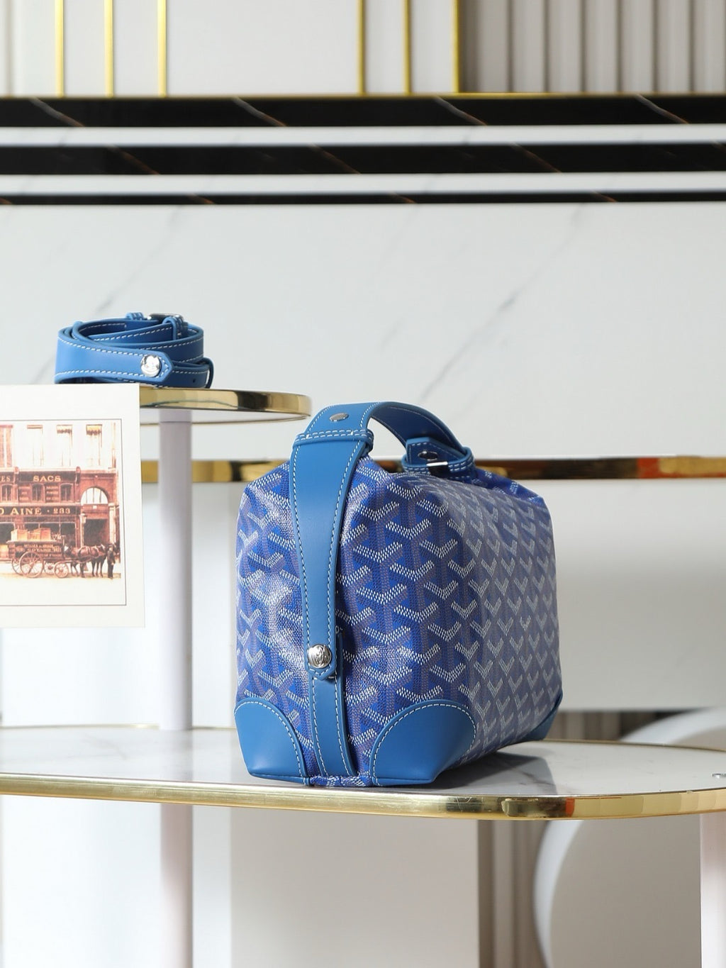 GOYARD WOMENS BAG
