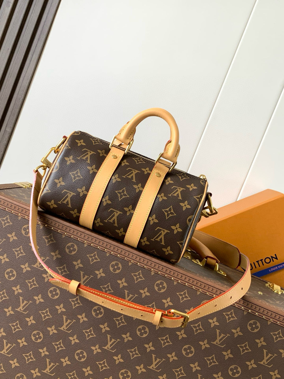 LV WOMENS BAG